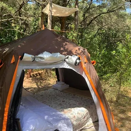 Pelekas Olive Grove Oasis Room No2 Gerendaház Corfu (city)
